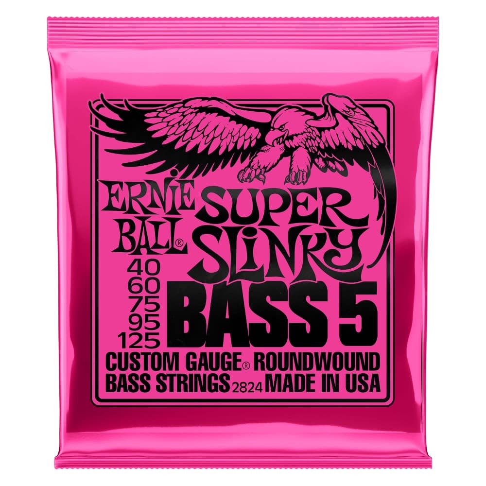 Ernie Ball P02824