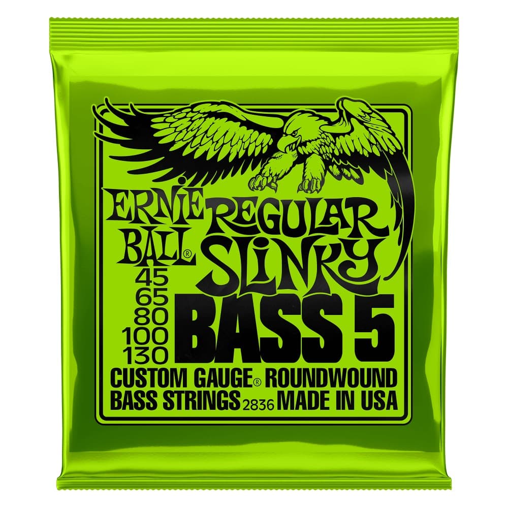 Ernie Ball P02836