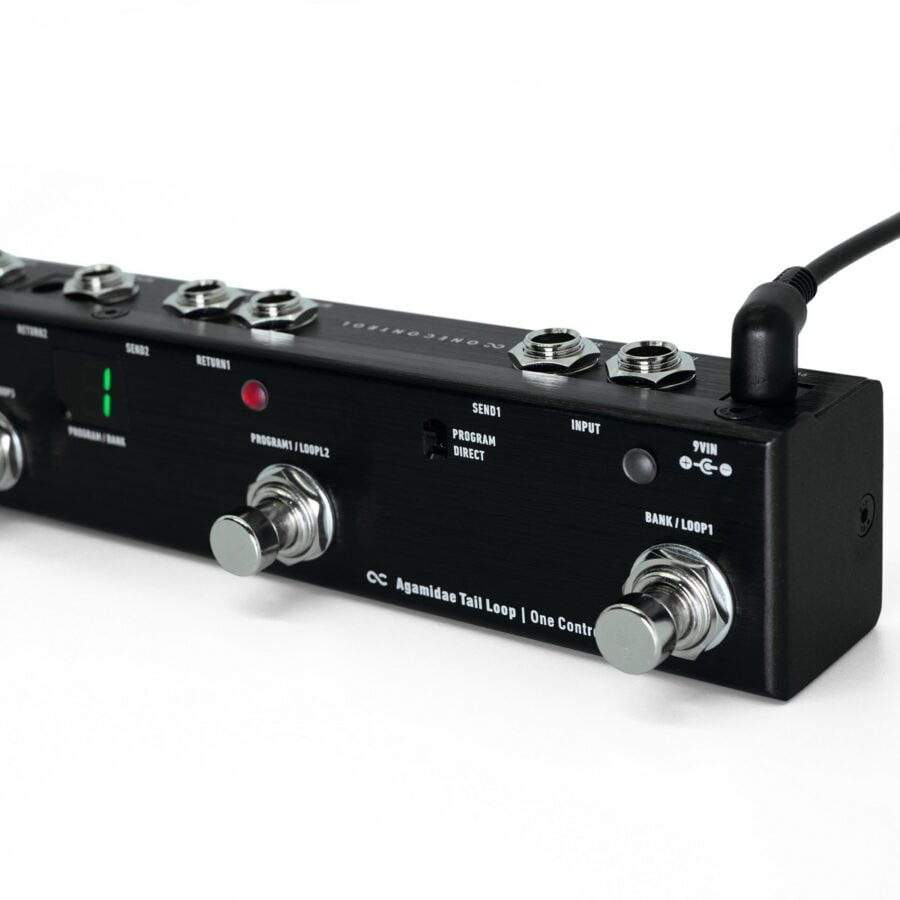 Agamidae Tail Loop 05