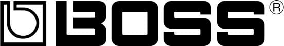 Boss Logo