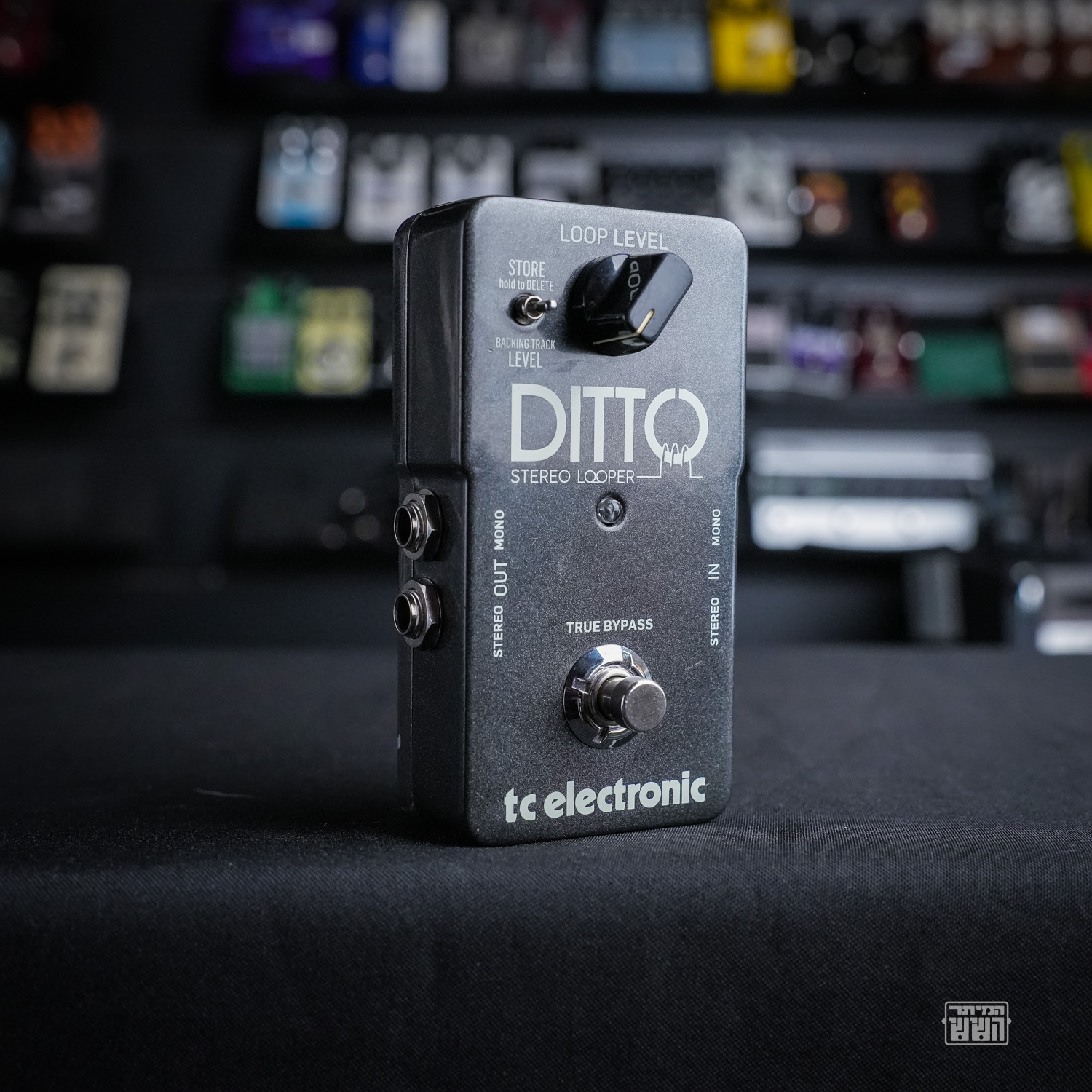 Ditto